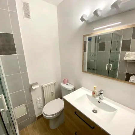 公寓 Appartement Gare Strasbourg Avec Parking